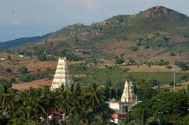 ಎಂ ಎಂ ಹಿಲ್ಸ್ ರಸ್ತೆಯಲ್ಲಿ ವಾಹನ ನಿಲ್ಲಿಸುವವರಿಗೆ ಸ್ಥಳದಲ್ಲೇ ದಂಡ: ಅರಣ್ಯ ಇಲಾಖೆ ಬಿಗಿ ಕ್ರಮ